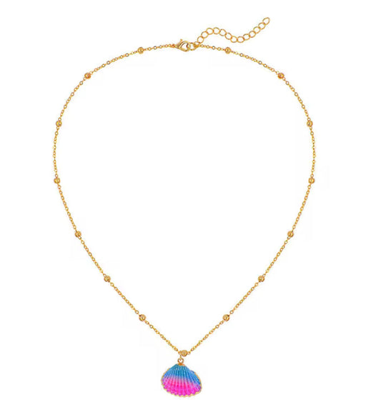 Colorful shell necklace